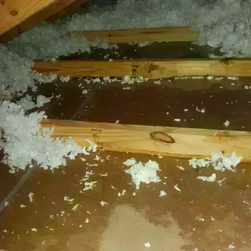 Attic Water Damage in Mio, MI