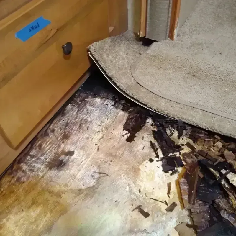 Wood Floor Water Damage in Mio, MI